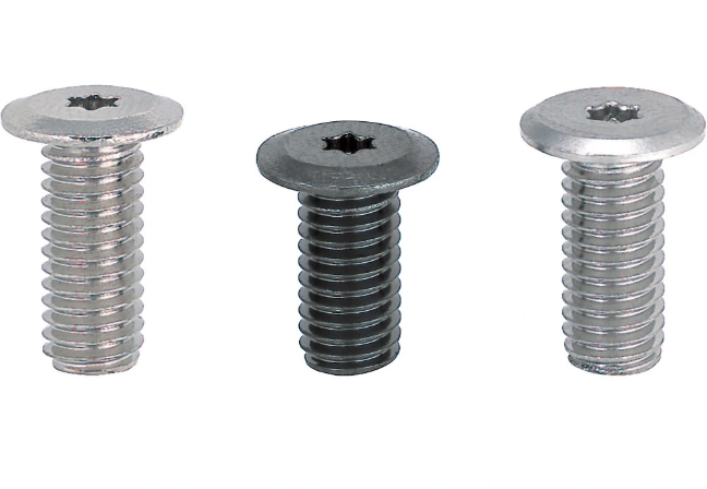 Stainless steel 304 super low cap screws